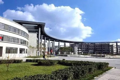 津门智变 科技赋能，重塑幸福生活新体验