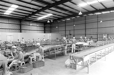 破解农业创新创业的资金困境 天津科技的实践与探索